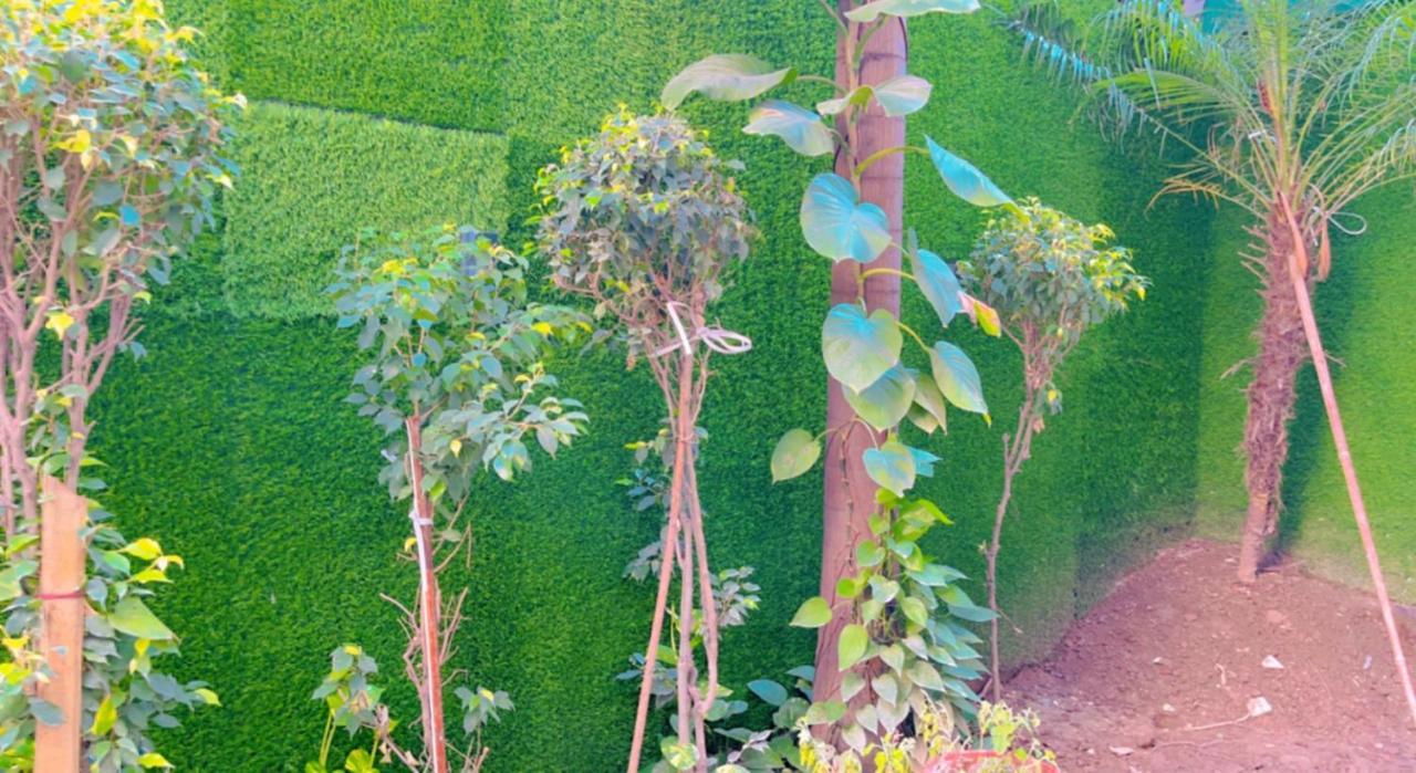 City View With Garden -5 Mins Walk From Golden Temple อัมริตสา ภายนอก รูปภาพ